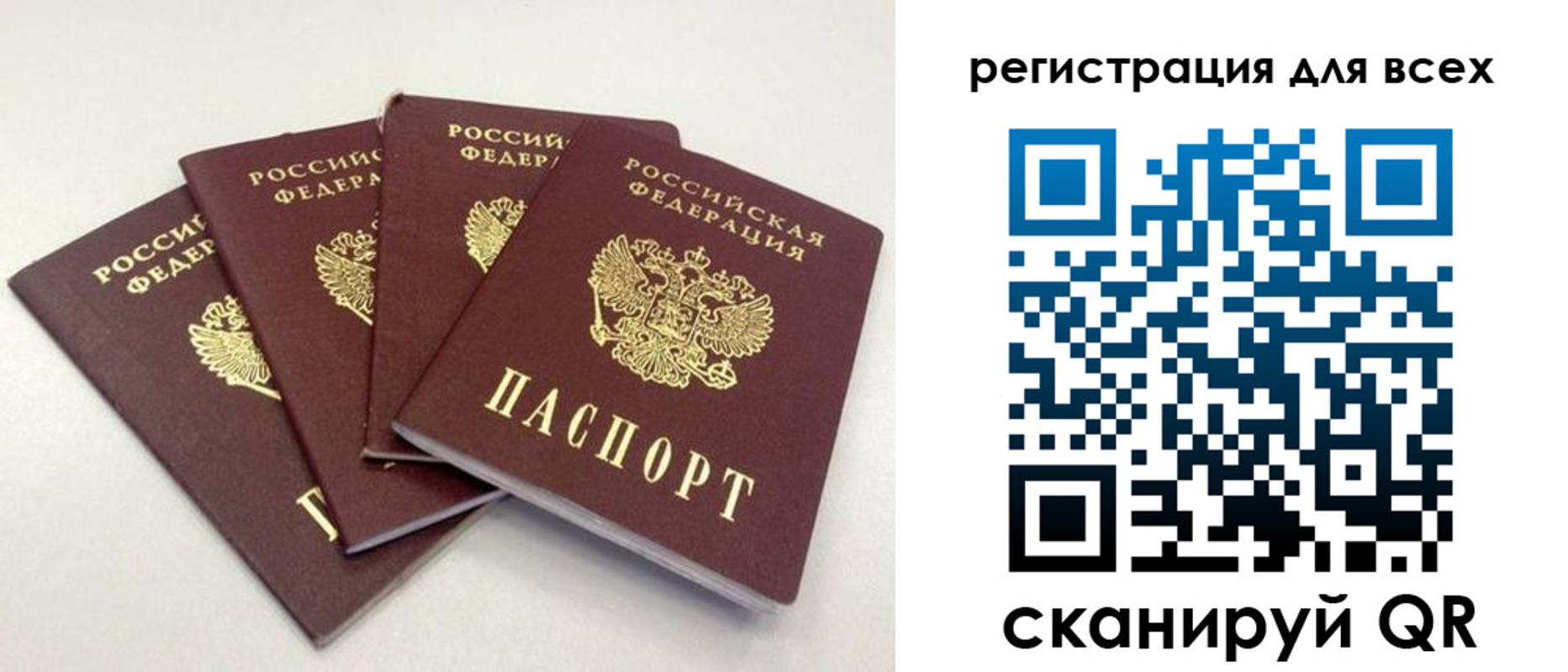 прописка законно в Железногорске
